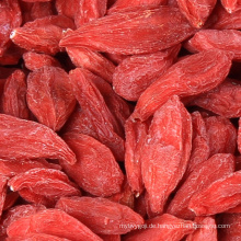 New Crop Bio-Wolfsbeere Goji-Beere Mispel Goji-Beere usda